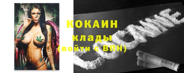 мяу мяу мука Алексин
