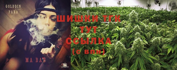 МДПВ Алексеевка