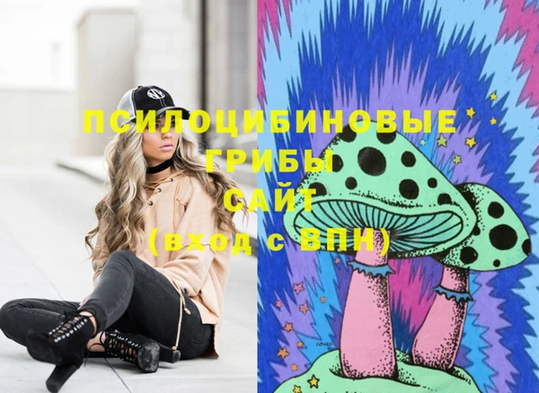 МДПВ Алексеевка
