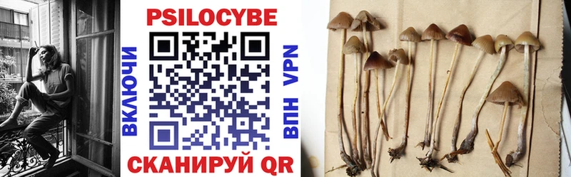 Галлюциногенные грибы мицелий  Сурск 